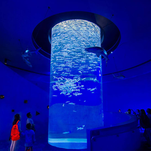 <strong>Aquariums</strong> <strong>Aquarium</strong> &amp; Accessory Type and Eco-Friendly Feature Marine <strong>Acrylic</strong> Fish Tank - Product Image 2