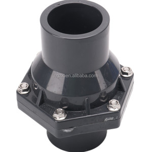 Van Kiểm Tra PVC 1 Inch 1/2 Inch Van Kiểm Tra Bằng Nhựa PVC Loại Nắp Không Quay Trở Lại Cho Nước - Product Image 5
