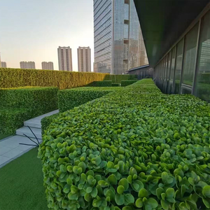 Paneles de pared de seto de boj Artificial para exteriores, respetuosos con el medio ambiente, duraderos, jardín de plástico falso, Fondo de pared verde, planta tipo hierba - Product Image 2