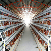 Cage à poules pondeuses de type 3/4 niveaux, cage en batterie pour poules pondeuses, galvanisée à chaud, longue durée de vie, système d'alimentation et d'abreuvement automatique
