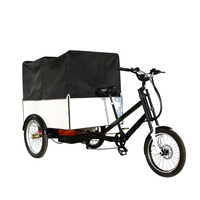 Tricycle cargo électrique à pédales 850W-1000W avec boîte arrière motorisée, pneus larges, moto à 3 roues, vélo électrique pour charges lourdes