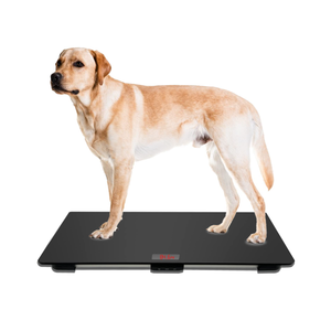 맞춤형 <span class=keywords><strong>100KG</strong></span> 디지털 애완동물 체중계 65*45cm 또는 80*50cm 플랫폼 강화유리 OEM 지원 - Product Image 4