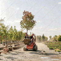 Pince à racines hydraulique pour mini-chargeuse, accessoire de transplanteur d'arbres, pince de manutention pour pépinière