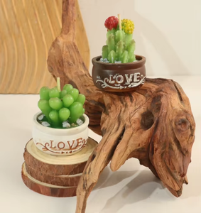 Juego <span class=keywords><strong>de</strong></span> <span class=keywords><strong>Velas</strong></span> Aromáticas <span class=keywords><strong>con</strong></span> Forma <span class=keywords><strong>de</strong></span> <span class=keywords><strong>Cactus</strong></span> <span class=keywords><strong>y</strong></span> Suculentas - <span class=keywords><strong>Velas</strong></span> Decorativas <span class=keywords><strong>con</strong></span> Forma <span class=keywords><strong>de</strong></span> Planta en Maceta para el Hogar, Precio <span class=keywords><strong>de</strong></span> Fábrica, Gran Venta - Product Image 2