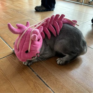 Großhandel Graues Dinosaurier-Skelett Plüschtier Kreatives Haustier-Kostüm Verstellbarer Riemen Hunde- und Katzen-Cosplay-Kopfbedeckung Halloween-Party-Outfit - Product Image 2