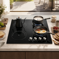 Cuisinière moderne à induction et gaz 2 feux, gaz naturel, classe A en termes d'efficacité énergétique, usage domestique, allumage électrique