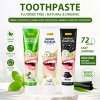 Dentifrice blanchissant au charbon de bois 100g, sans fluor, élimination des taches, menthe naturelle, pour hôtels et usage domestique, vente en gros usine, logo personnalisé