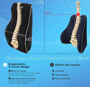 Coussin de soutien lombaire pour chaise de bureau et voiture, soulagement des douleurs dorsales, amélioration de la posture, housse <span class=keywords><strong>en</strong></span> maille avec double sangle réglable - Product Image 4