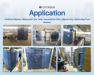 Contrôleur de température CATAQUA <span class=keywords><strong>RAS</strong></span> 220V/380V pour aquarium, silencieux, avec dégivrage automatique, refroidisseur et chauffage pour aquaculture industrielle - Product Image 5