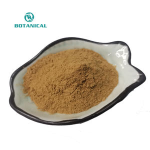 B.C.I Supply Best Selling Alta Qualidade Orgânica 50% Polissacarídeos Extrato De Cogumelo <span class=keywords><strong>Enoki</strong></span> - Product Image 2