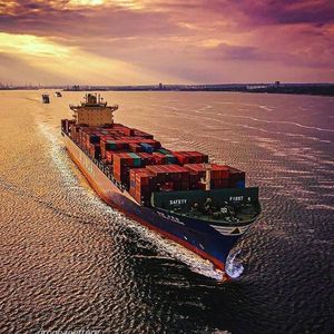 FCL/LCL de China, el mejor precio, transitarios internacionales profesionales a EE. UU./Chile/Colombia/Sudáfrica/Argentina - Product Image 3