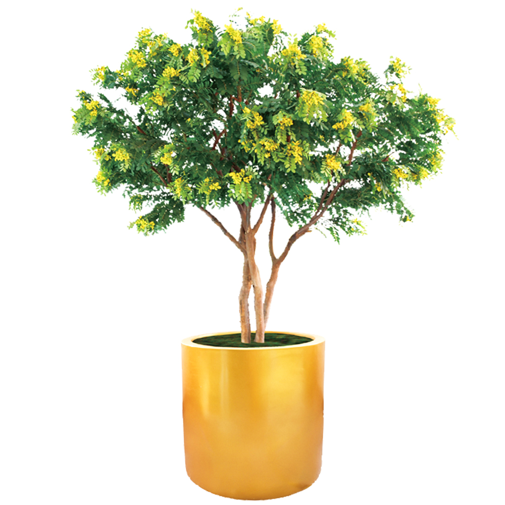 2,8 m o personalizzato-1