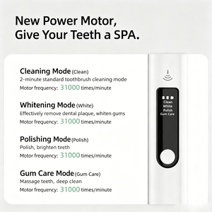 Cepillo de <span class=keywords><strong>Dientes</strong></span> Eléctrico Portátil OEM Recargable con Sensor de Presión Inteligente y 4 Modos de Limpieza - Product Image 3