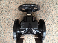Vanne à diaphragme pneumatique industrielle en acier au carbone SS304, corps EPDM/PTFE, DN40-DN200, à brides PN16, pour process chimiques