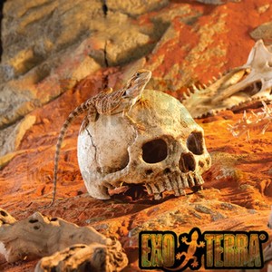 ของตกแต่งตู้ปลา บ้านเลี้ยงสัตว์เลื้อยคลาน แมงมุม แมงป่อง งู รูปทรงหัวกะโหลก สำหรับเลี้ยงและหลบหนี - Product Image 1