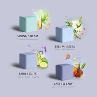 Parfums biologiques de luxe Bain effervescents Cadeau spécial personnalisé Huile essentielle Soulagement du stress Douche de spa quotidienne Vapeurs