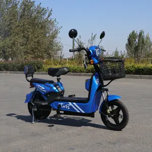 Electric Motor Bike Cheap Wholesale Electric Bicycle Brushless Motor City Electric Scooter Bike With Turn Signal