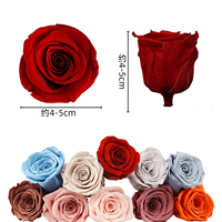 Bunga Mawar Asli Awetan Kelas A 4-5cm Laris Manis, Bahan Bunga Asli Alami untuk DIY, Multiwarna, Wisuda, Hari Valentine