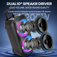 Système de haut-parleurs karaoké double mode 5.0 avec lumières LED RGB et prise en charge du microphone sans fil Modèle 10202