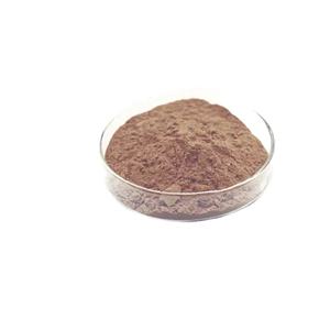 トウモロコシシルクエキスパウダー - Product Image 3