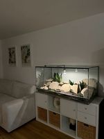 Rehausseurs de buffet en acrylique pliables, modernes, respirants et écologiques pour présentoir personnalisable