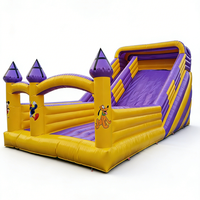 Douerfei - Château gonflable commercial Mickey Mouse et Donald Duck avec toboggan, en PVC écologique, capacité 300 kg, pour 5 à 15 personnes