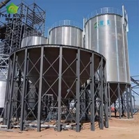 Silo à fond trémie en acier galvanisé de 50 à 2000 tonnes à déchargement automatique pour stockage de céréales pour moulin à aliments et ferme