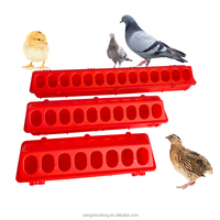 Mangeoire automatique pour oiseaux YYB à 28 trous en plastique durable, longue de 30/37/50 cm, pour pigeons/poussins/cailles