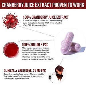 สารสกัดแครนเบอร์รี่คุณภาพสูง บำรุงสุขภาพทางเดินปัสสาวะสำหรับผู้ใหญ่ 60 แคปซูล แคปซูลสารสกัดแครนเบอร์รี่ - Product Image 5