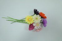 Bunga Gerbera Daisy Pelangi Ceria M1038, Bunga Kertas Buatan Tangan Warna-warni untuk Vas, Buket, Hiasan Tengah Meja, Dekorasi Rumah dan Kantor