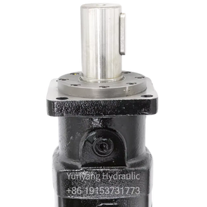 이튼 10000 시리즈 찰린 유압 모터 119-1030-003 - Product Image 4