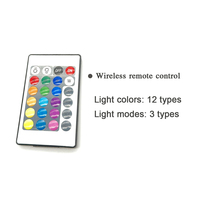 Couvre-pédale LED personnalisé en acrylique pour trottinette électrique Dualtron Thunder, accessoires, couvre-pédale LED en acrylique