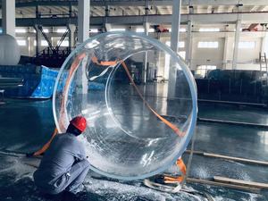 2025 Aquariumvissen Te Koop - Product Image 5