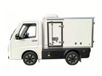 Runhorse TEV Nouveau véhicule électrique EEC pour la livraison de nourriture Camionnette Mini-fourgonnette Voiture Adulte Autonomie de 201 à 300 km Moteur 15 kW