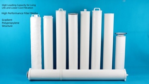 Pentair lưu lượng cao 5um lọc nước tùy chỉnh ngành công nghiệp màng tuyệt đối điều trị Độ sâu thay thế PP PES Nylon Made biện pháp - Product Image 6