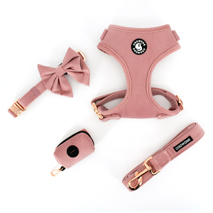 Conjunto de Collar y Correa Ajustables para Perro al por Mayor, Arnés de Lujo de Pana Suave, Kit Personalizado de Collares y Correas para Mascotas - Product Image 1