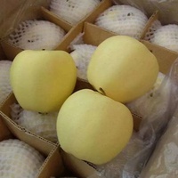 Verse Golden Delicious Appels Premium Geel Fruit Zoete Knapperige Appels Voor Groothandelsimporteurs