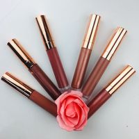 Gloss à lèvres brillant vegan en tube doré, étiquette privée, imperméable, longue tenue, nude, pailleté, vente en gros