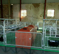 Offre Spéciale : Parc de Maternité et d'Accouchement pour Porcs avec Panneaux en PVC et Lit Intégré pour Nourrissons Conception personnalisable Garantie d'un an Longue durée de vie