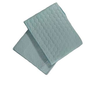 Tapis d'apprentissage jetables pour chiots avec super absorption, imperméables, design tendance, en tissu - Product Image 5