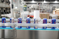 Machine de remplissage et de scellage automatique de petites boîtes de conserve en aluminium SHEENSTAR