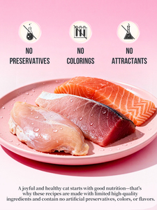 Mousse de viande humide EASA Gourmet avec plusieurs saveurs |   Friandise savoureuse pour <span class=keywords><strong>chat</strong></span>, riche en protéines, de qualité supérieure - Product Image 2