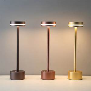 Nordic Simple Modern Metal Flexible Battery-Powered Desk <strong>Lamp</strong> <strong>Charge</strong> and Plug Dual Purpose Bedroom Ambiance <strong>Lamp</strong> - Product Image 1