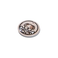 Epoxy Nfc Pet Tag QR-Code Kunden spezifische Pet Dog Tag Nfc Smart Pet Id Tag