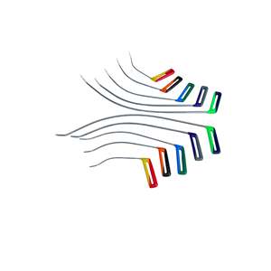 Batumi Edition Ensemble de tiges de réparation de bosses sans peinture en forme d'arc-en-ciel à double courbure pour outils PDR Matériau en plastique et en métal - Product Image 1