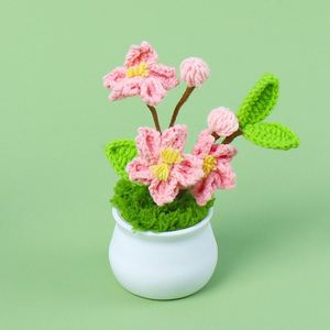 Maceta Artificial de Ganchillo Hecha a Mano para Plantas, Decoración para el Hogar, Regalo para Mujeres y Mamás, Venta al por Mayor - Product Image 3