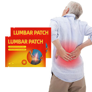 허리 통증 완화 패치-허리 근육통을위한 허브 열 석고 - Product Image 1