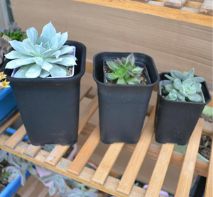 Pot de <span class=keywords><strong>fleurs</strong></span> carré en <span class=keywords><strong>plastique</strong></span> pour pépinière, 3 tailles, pour l'intérieur, le bureau, le chevet ou le sol, les plateaux de plantation de jardin extérieur - Product Image 3