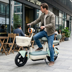 Bicicleta Eléctrica China de 350W/500W para Adultos, Batería de Plomo-Ácido de 48V, Bicicleta Eléctrica Urbana de Dos Plazas con Pedales - Product Image 1