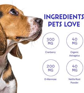 Suplemento de arándano de soporte renal para perros, tratamiento de UTI, suplemento líquido de riñón urinario de vejiga - Product Image 4